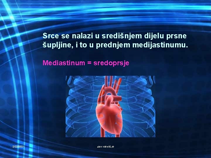 Srce se nalazi u središnjem dijelu prsne šupljine, i to u prednjem medijastinumu. Mediastinum