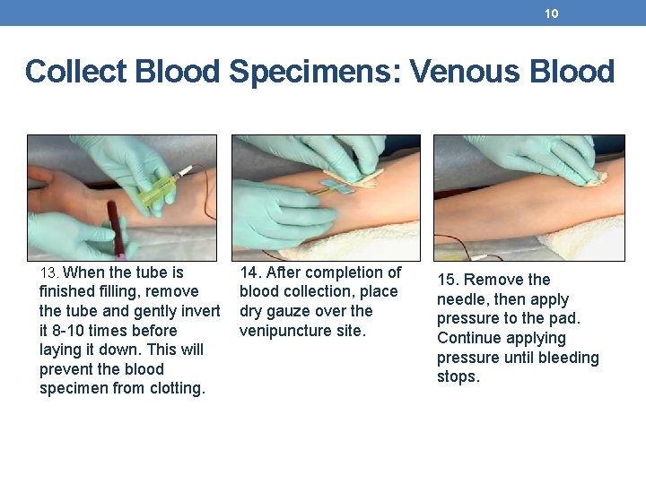 10 Collect Blood Specimens: Venous Blood 13. When the tube is finished filling, remove