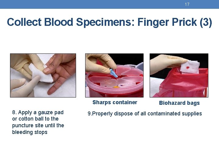 17 Collect Blood Specimens: Finger Prick (3) Sharps container 8. Apply a gauze pad