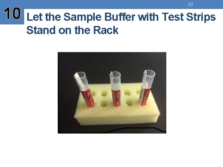 33 10 Let the Sample Buffer with Test Strips Stand on the Rack 