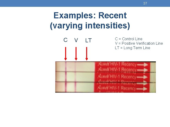 37 Examples: Recent (varying intensities) C V LT C = Control Line V =