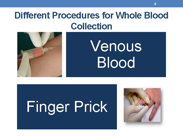 4 Different Procedures for Whole Blood Collection Venous Blood Finger Prick 