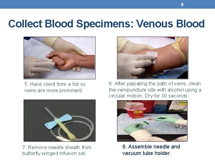 8 Collect Blood Specimens: Venous Blood 5. Have client form a fist so veins