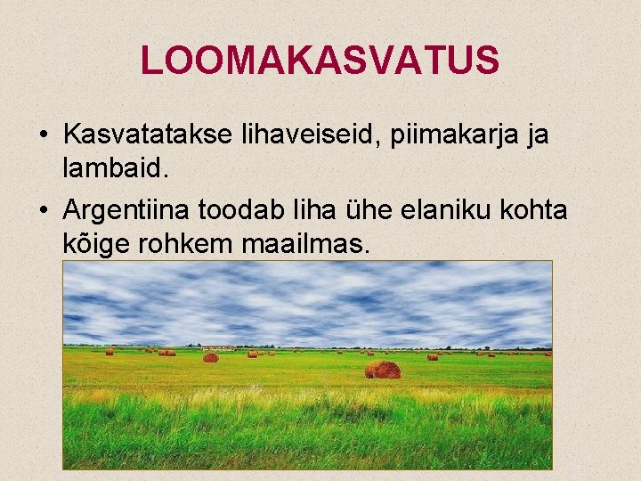 LOOMAKASVATUS • Kasvatatakse lihaveiseid, piimakarja ja lambaid. • Argentiina toodab liha ühe elaniku kohta