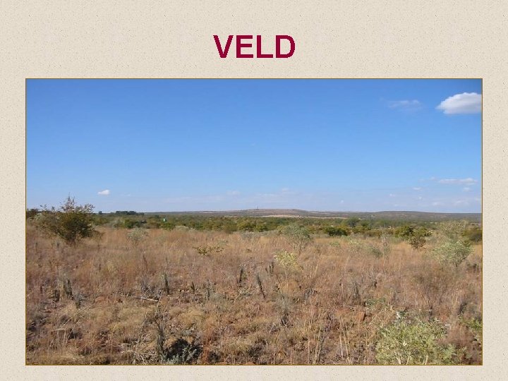 VELD 