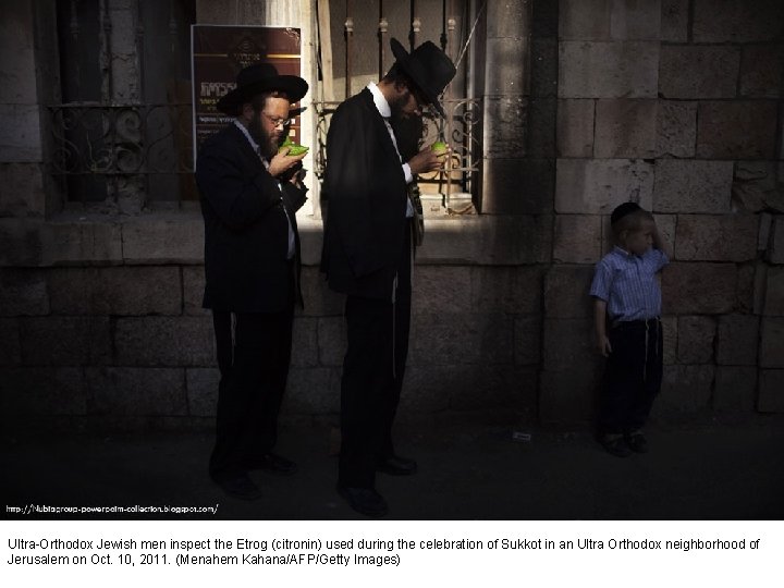 Ultra-Orthodox Jewish men inspect the Etrog (citronin) used during the celebration of Sukkot in
