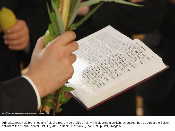 Orthodox Jews hold branches and fruit of etrog, a type of citrus fruit, while
