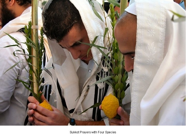 Sukkot Prayers with Four Species 