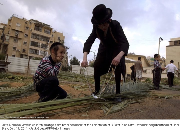 Ultra-Orthodox Jewish children arrange palm branches used for the celebration of Sukkot in an