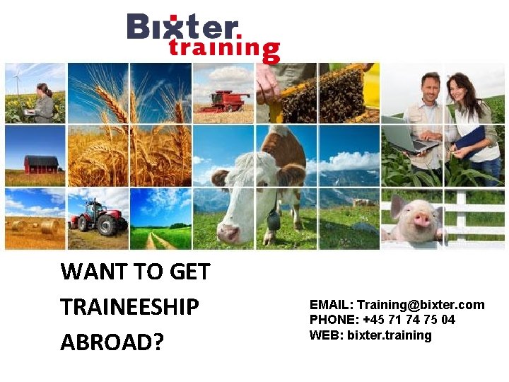 WANT TO GET TRAINEESHIP ABROAD? EMAIL: Training@bixter. com PHONE: +45 71 74 75 04