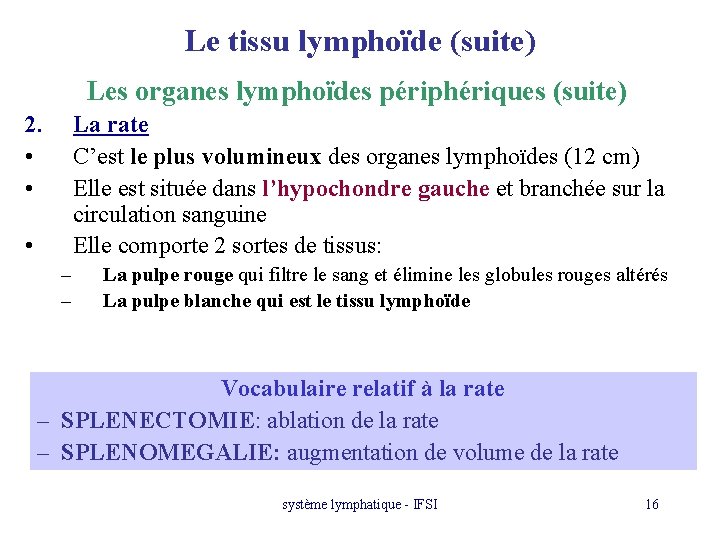 Le tissu lymphoïde (suite) Les organes lymphoïdes périphériques (suite) 2. • • La rate