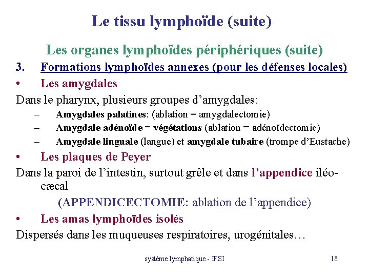 Le tissu lymphoïde (suite) Les organes lymphoïdes périphériques (suite) 3. Formations lymphoïdes annexes (pour