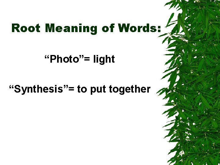 Root Meaning of Words: “Photo”= light “Synthesis”= to put together 