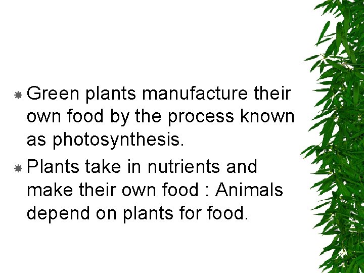  Green plants manufacture their own food by the process known as photosynthesis. Plants