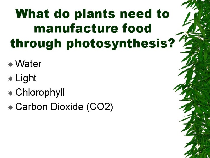 What do plants need to manufacture food through photosynthesis? Water Light Chlorophyll Carbon Dioxide