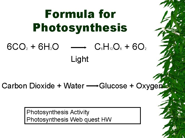 Formula for Photosynthesis 6 CO + 6 H O 2 C H O +