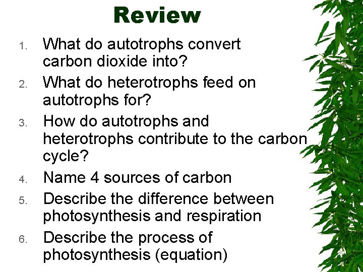 Review 1. 2. 3. 4. 5. 6. What do autotrophs convert carbon dioxide into?
