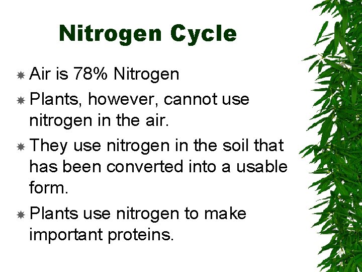 Nitrogen Cycle Air is 78% Nitrogen Plants, however, cannot use nitrogen in the air.