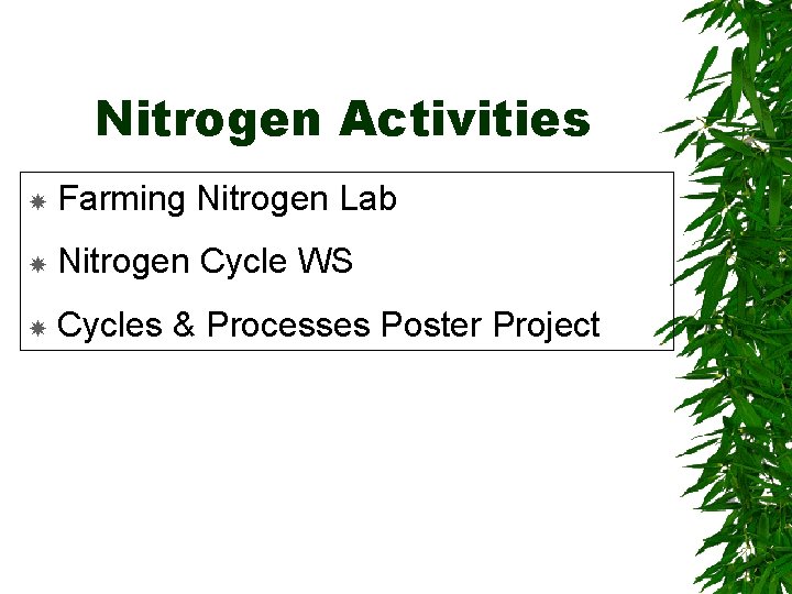 Nitrogen Activities Farming Nitrogen Lab Nitrogen Cycle WS Cycles & Processes Poster Project 