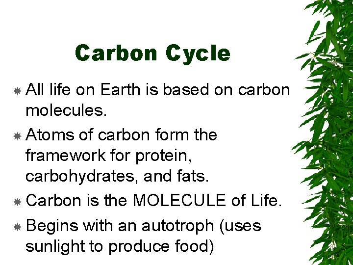 Carbon Cycle All life on Earth is based on carbon molecules. Atoms of carbon