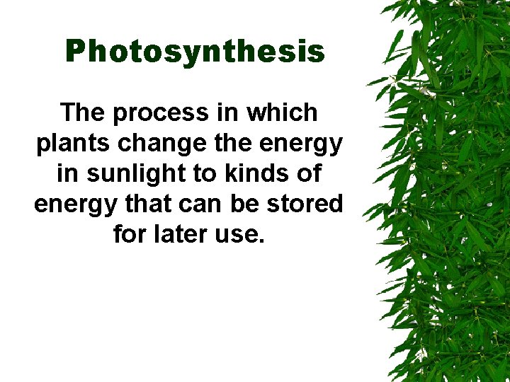 Photosynthesis The process in which plants change the energy in sunlight to kinds of