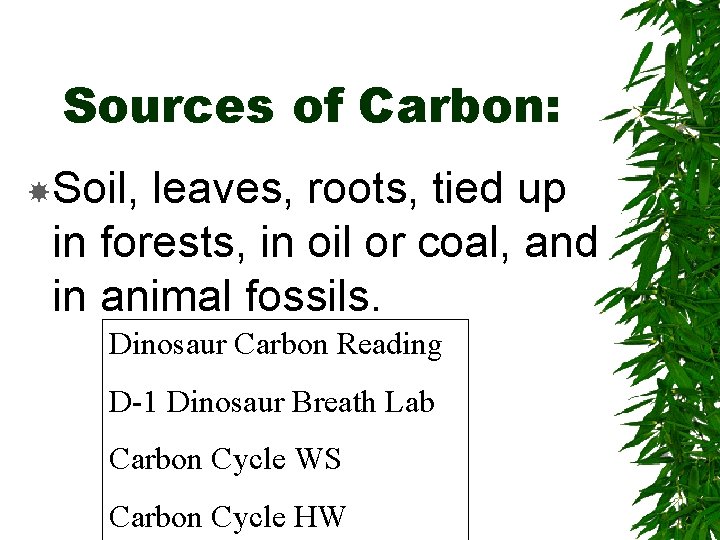 Sources of Carbon: Soil, leaves, roots, tied up in forests, in oil or coal,