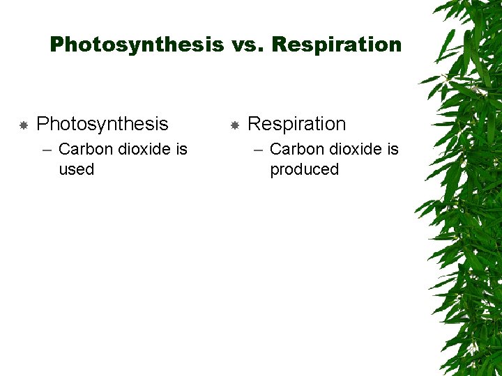 Photosynthesis vs. Respiration Photosynthesis – Carbon dioxide is used Respiration – Carbon dioxide is