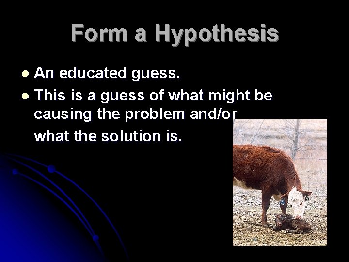 Form a Hypothesis An educated guess. l This is a guess of what might