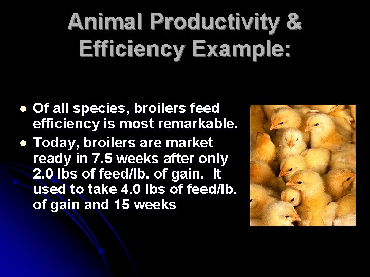 Animal Productivity & Efficiency Example: l l Of all species, broilers feed efficiency is