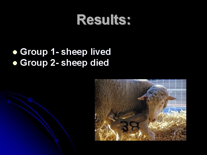 Results: Group 1 - sheep lived l Group 2 - sheep died l 