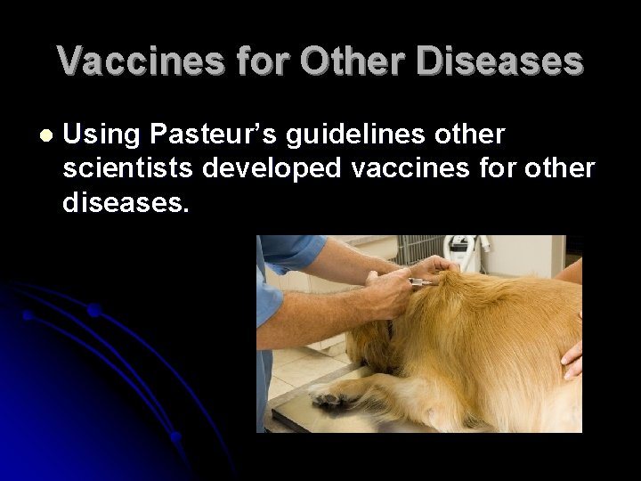 Vaccines for Other Diseases l Using Pasteur’s guidelines other scientists developed vaccines for other