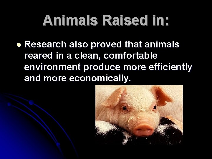 Animals Raised in: l Research also proved that animals reared in a clean, comfortable