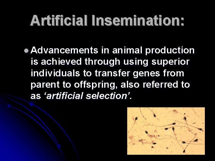 Artificial Insemination: l Advancements in animal production is achieved through using superior individuals to