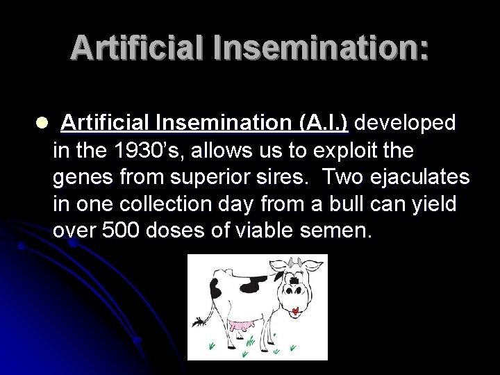 Artificial Insemination: l Artificial Insemination (A. I. ) developed in the 1930’s, allows us