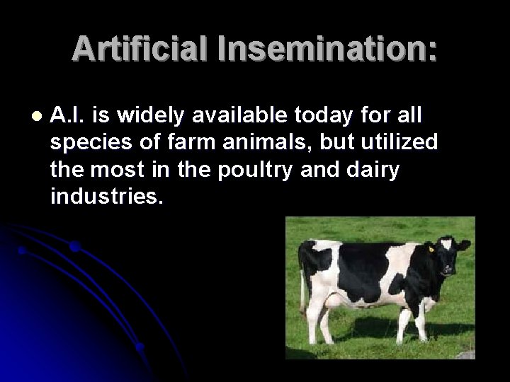 Artificial Insemination: l A. I. is widely available today for all species of farm