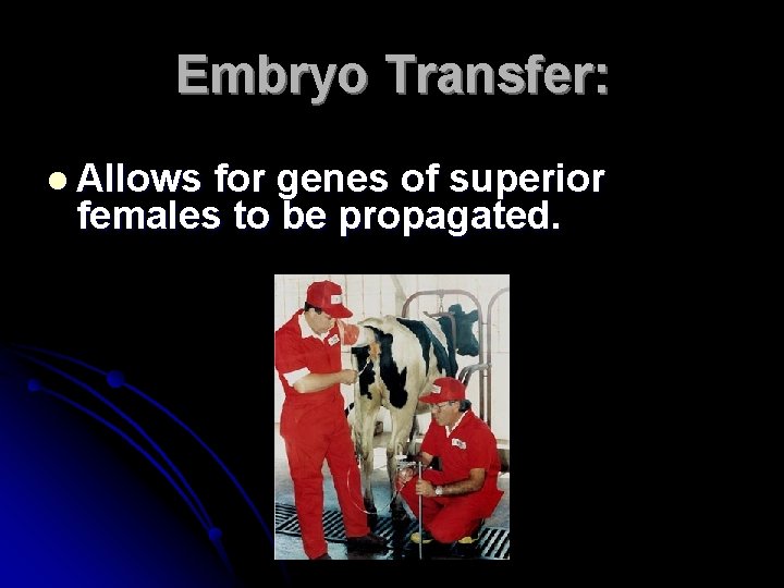 Embryo Transfer: l Allows for genes of superior females to be propagated. 