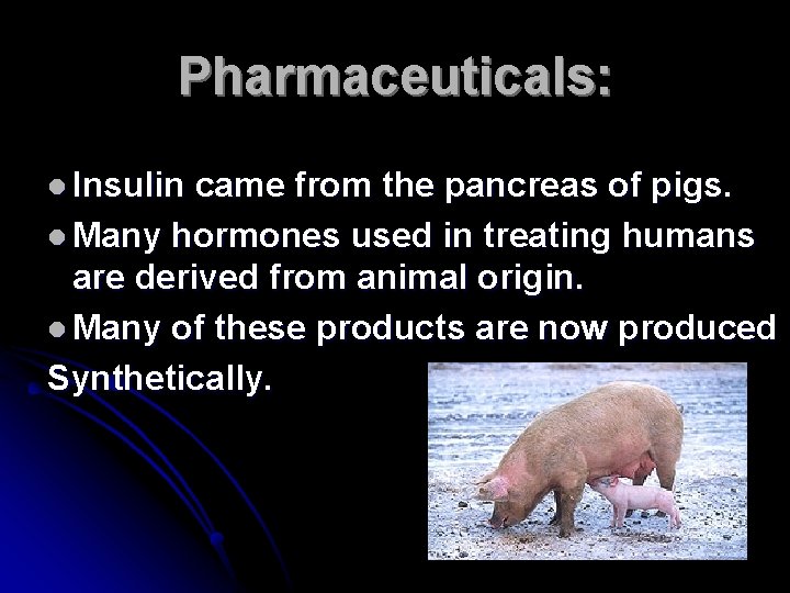 Pharmaceuticals: l Insulin came from the pancreas of pigs. l Many hormones used in