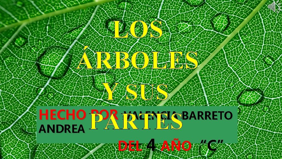 LOS ÁRBOLES Y SUS HECHO POR : VALENCIA BARRETO ANDREA PARTES DEL 4 AÑO