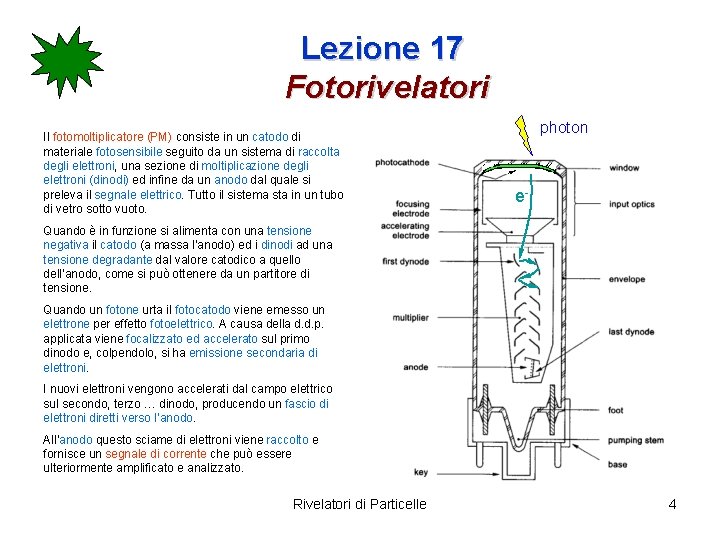 Lezione 17 Fotorivelatori Il fotomoltiplicatore (PM) consiste in un catodo di materiale fotosensibile seguito