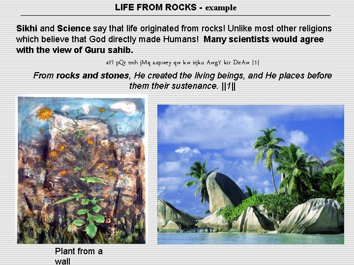 LIFE FROM ROCKS - example Sikhi and Science say that life originated from rocks!