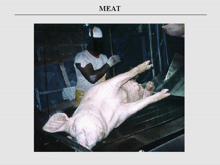 MEAT 