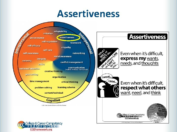 Assertiveness 