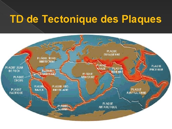 TD de Tectonique des Plaques 