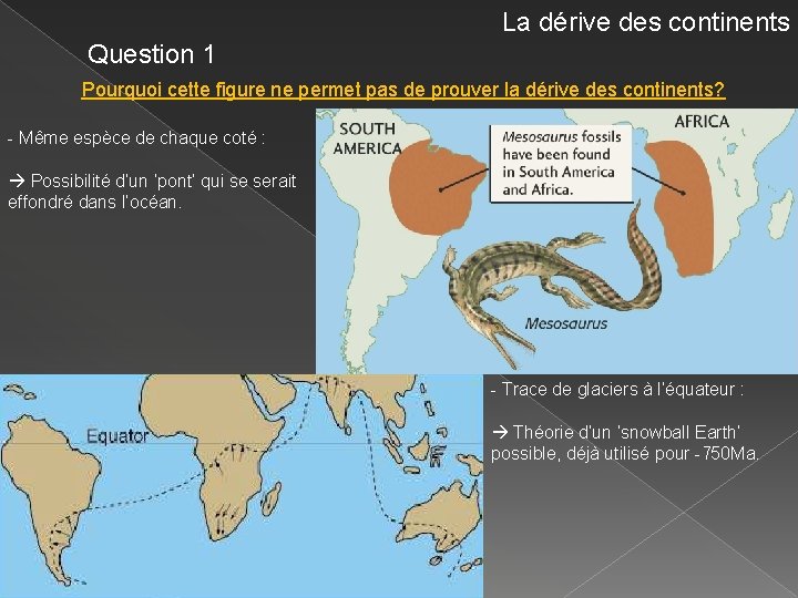 La dérive des continents Question 1 Pourquoi cette figure ne permet pas de prouver