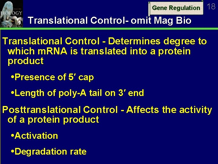 Gene Regulation 18 Translational Control- omit Mag Bio Translational Control - Determines degree to
