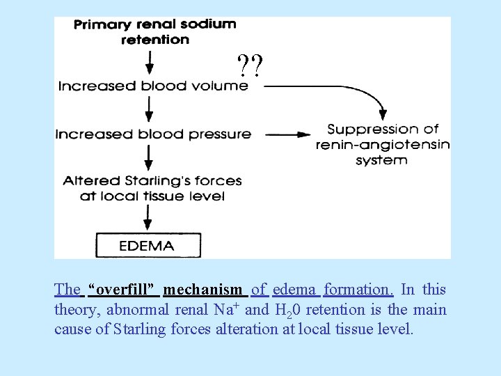 ? ? The “overfill” mechanism of edema formation. In this theory, abnormal renal Na+