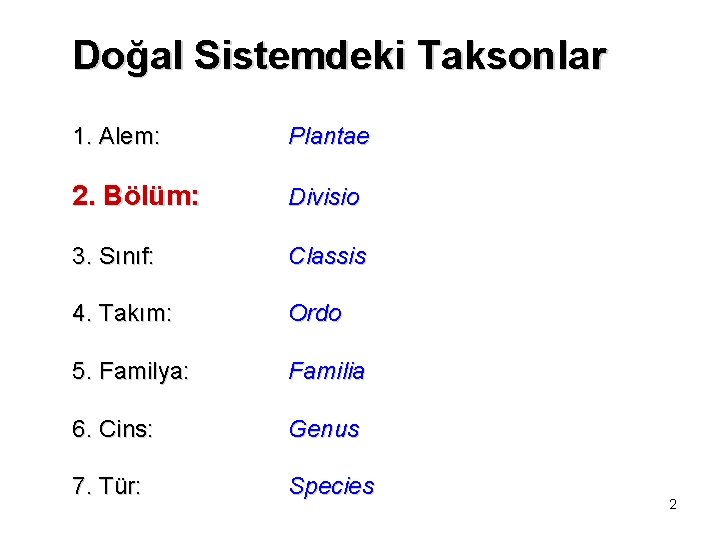 Doğal Sistemdeki Taksonlar 1. Alem: Plantae 2. Bölüm: Divisio 3. Sınıf: Classis 4. Takım: