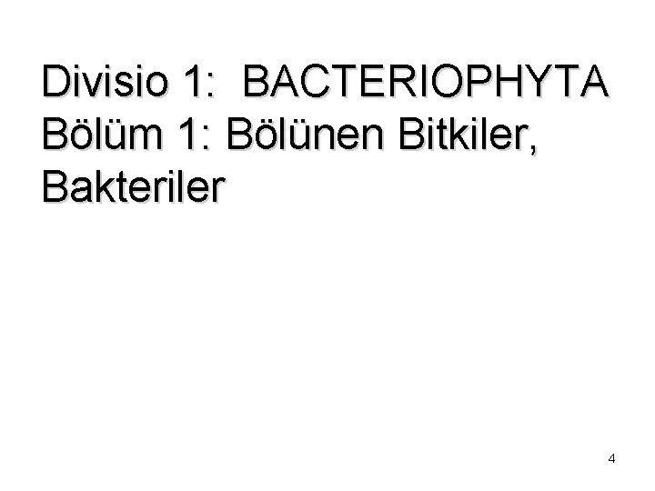 Divisio 1: BACTERIOPHYTA Bölüm 1: Bölünen Bitkiler, Bakteriler 4 