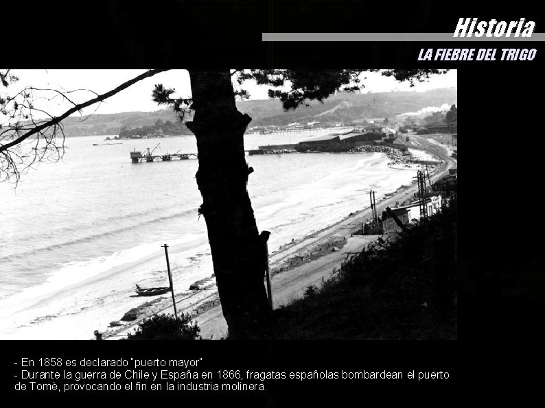 Historia LA FIEBRE DEL TRIGO - En 1858 es declarado “puerto mayor” - Durante Historia LA FIEBRE DEL TRIGO - En 1858 es declarado “puerto mayor” - Durante
