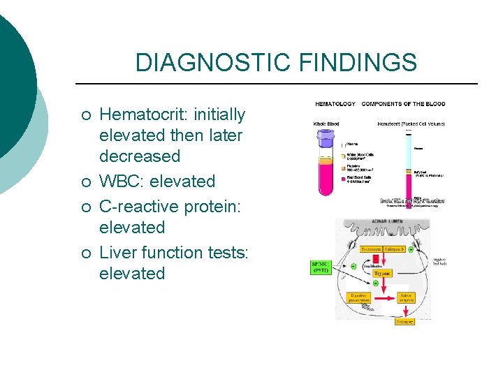 DIAGNOSTIC FINDINGS ¡ ¡ Hematocrit: initially elevated then later decreased WBC: elevated C-reactive protein: